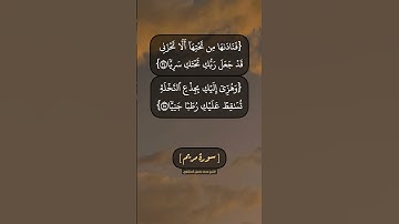 سورة مريم الآية ٢٤ الى ٢٦ بصوت الشيخ محمد صديق المنشاوي