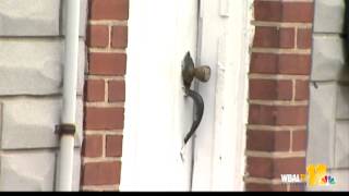 Baltimore police arrest scam artists who preyed on elderly