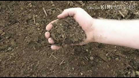 KRSMA#Standard 7 Basic Science Part 1 Chapter 6 For A Pollution Free Nature.