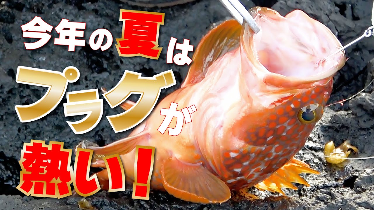 魚極ペン　６つ fit=scale-down,w=1200