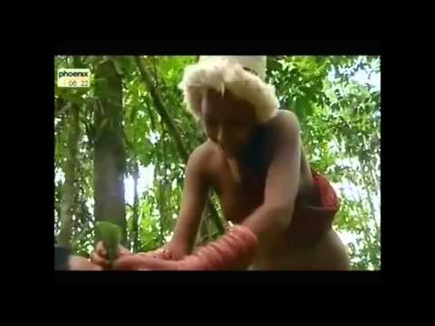 Bio Piraten ... Ausbeutung indigener Völker... Doku