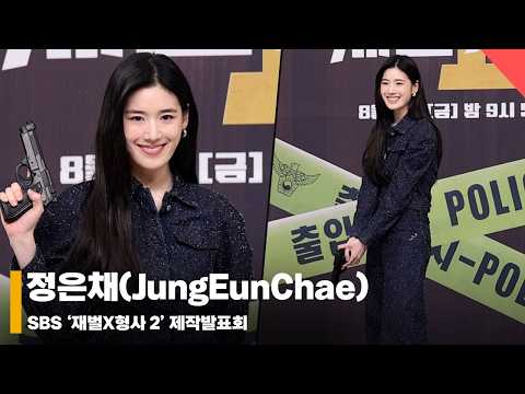 정은채(JungEunChae), ‘대태러 팀장님의 품격’ #대벌형사2 #flexxcop2