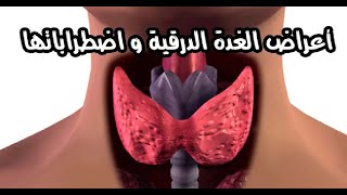 ما هي الغدة الدرقية لمحة عامة عن الغُدَّة الدرقية  واسبابها تعرف عليها !! ?‍️