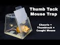 Can You Catch A Mouse With A Thumb Tack And A Cheerio? Thumb Tack Mouse Trap. Mousetrap Monday