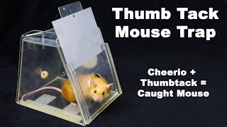 Can You Catch A Mouse With A Thumb Tack And A Cheerio? Thumb Tack Mouse Trap. Mousetrap Monday screenshot 2