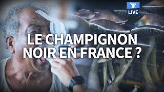 ???? L’épidémie de CHAMPIGNON NOIR liée au Covid-19 en Inde peut-elle arriver en France?