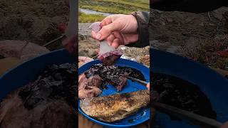 Man Cooks Wild Food in Alaska's Arctic Tundra