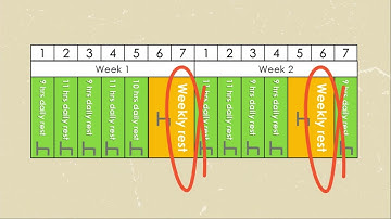 Drivers driving time (Rest periods). Tachograph