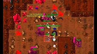 Tibia War pbOT Forever#