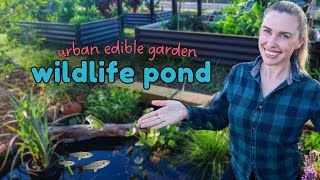 10 EASY steps to create a small wildlife pond - from start to finish