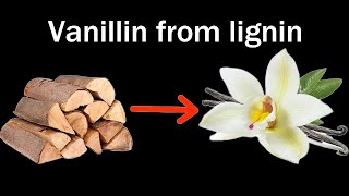 Making Vanilla from Wood (Lignin)