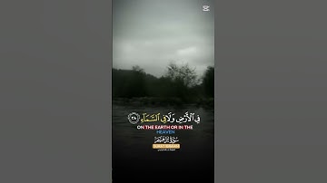 الشيخ خالد الجليل $ من سورة إبراهيم