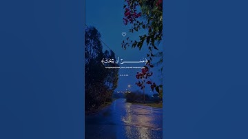 ان قرآن الفجر كان مشهودا 📖 🌙#تلاوة_هادئة#معاذ_صيام#quran#اكسبلور#ليلة_القدر #رمضان