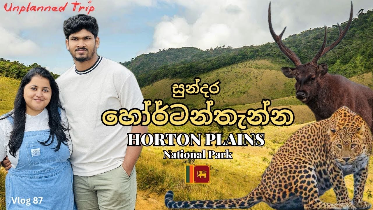 Plan නොකර ගිය ලස්සන හෝර්ටන් තැන්න 🐆 🦌  | Horton Plains | Nuwara Eliya | Wild Safari | Sri Lanka 🇱🇰