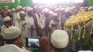 CUCU HABIB SHOLEH TANGGUL.HAUL WALI QUTHUB