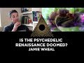 Is the Psychedelic Renaissance Doomed? Jamie Wheal
