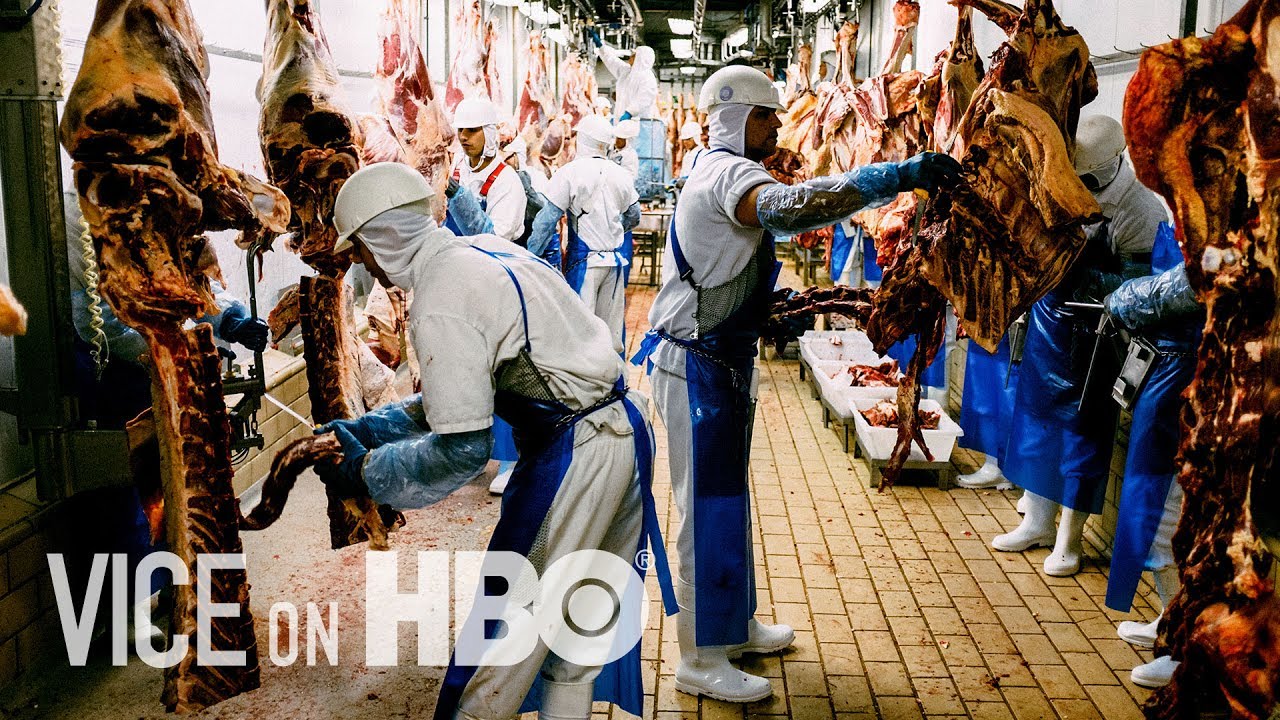 Download Meathooked & End of Water (VICE on HBO: Season 4, Episode 5)