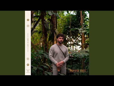 Camo Columbo - Papaya Tree