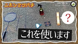 夏場は注意が必要【メントールは底板と上部で入れ方を変える】日本みつばちの養蜂 How to Beekeeping