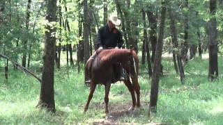 Larry French of The 3-L Horse Ranch What to do when a Horse is high on adrenalin.