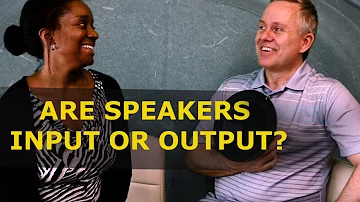 Is a speaker an output?