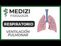 Clase 37 Fisiología Respiratoria - Ventilación Pulmonar