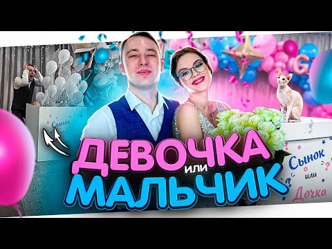 Видео: МЫ УЗНАЛИ ПОЛ РЕБЕНКА! МАЛЬЧИК или ДЕВОЧКА?