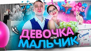 МЫ УЗНАЛИ ПОЛ РЕБЕНКА! МАЛЬЧИК или ДЕВОЧКА?