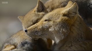 Top 10 Moments from BBC's Asia