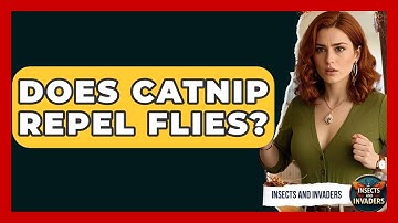 Does Catnip Repel Flies? - Insects and Invaders