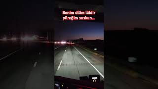 Erdem Demir - Benim Dilim Lâldir Yüreğim Suskun.