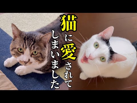 ママネコ様　まとめ4点 ママネコ様 まとめ4点 mqdefault.jpg