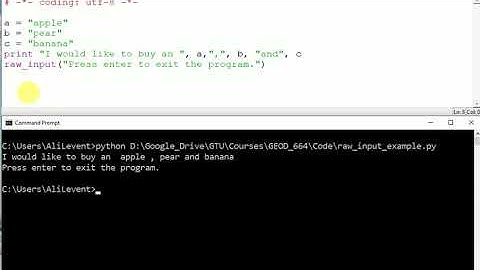 raw input() to pause the program on cmd