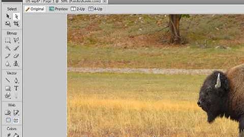 Making Transparent Text In Fireworks