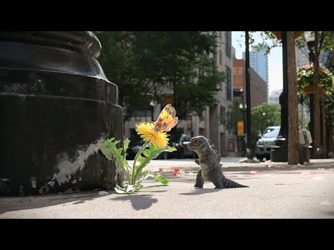 Godzilla Gecko V Mini Mothra