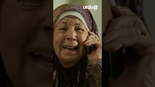 Tum ne unhein khud dekha hai na? 😕👀 | Ep 27 #urdu1 #shorts #umer