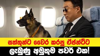 සත්තුන්ට වෛර කරපු ඒජන්ට්ට ලැබුණු අමුතුම පවර් එක! 😱 | Sinhala Movie Review