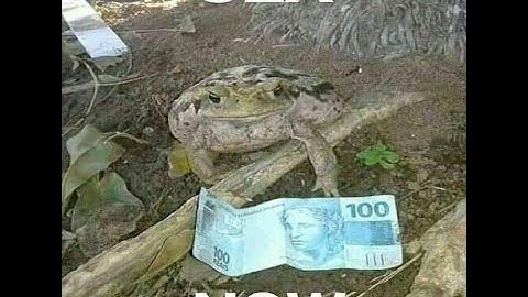 First Day With AIMWARE.NET