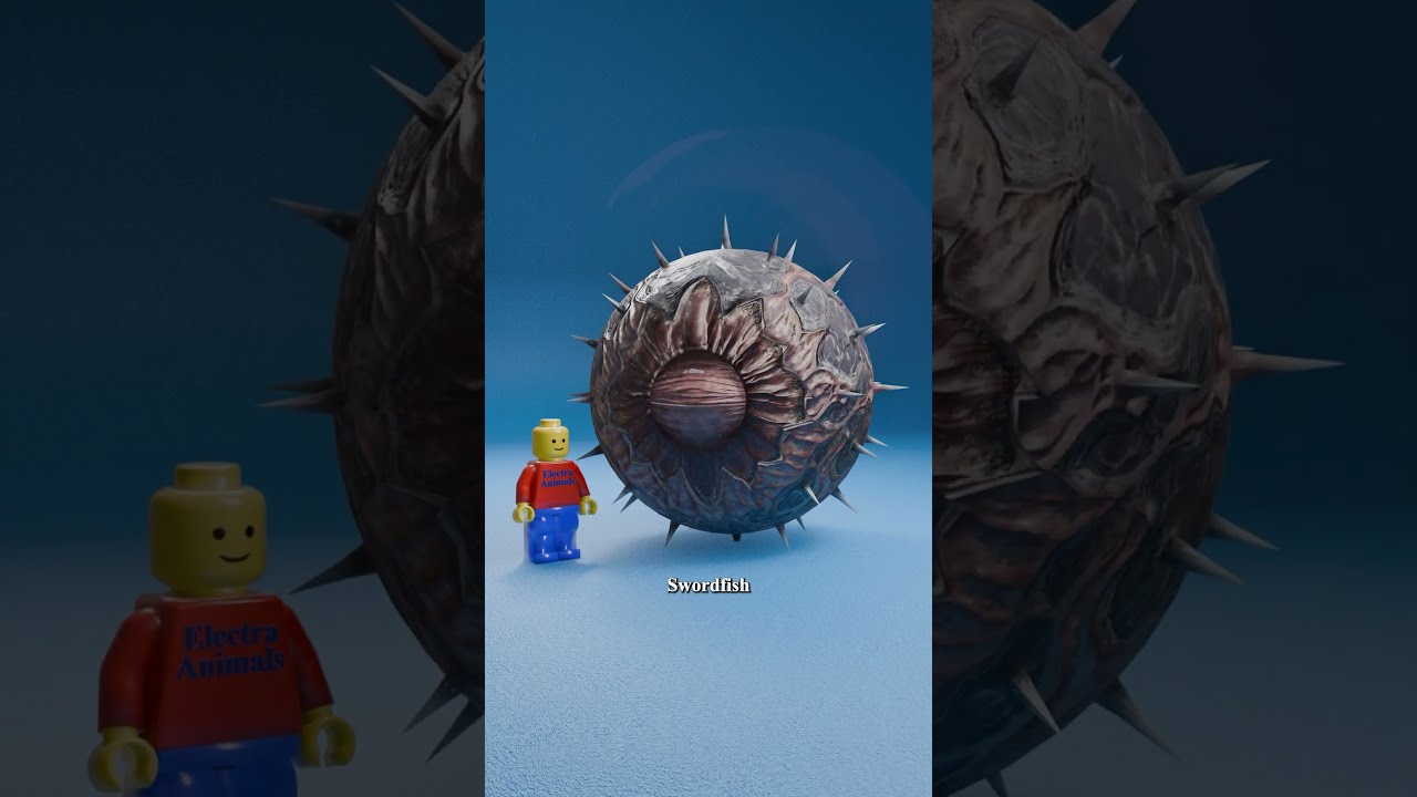 Ant Eye Vs Giant Squid 
