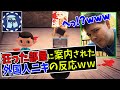 【あつ森】視聴者のやべえ部屋に案内された外国人ニキの反応がめっちゃツボｗｗ【日本語字幕付き/ あつまれどうぶつの森】