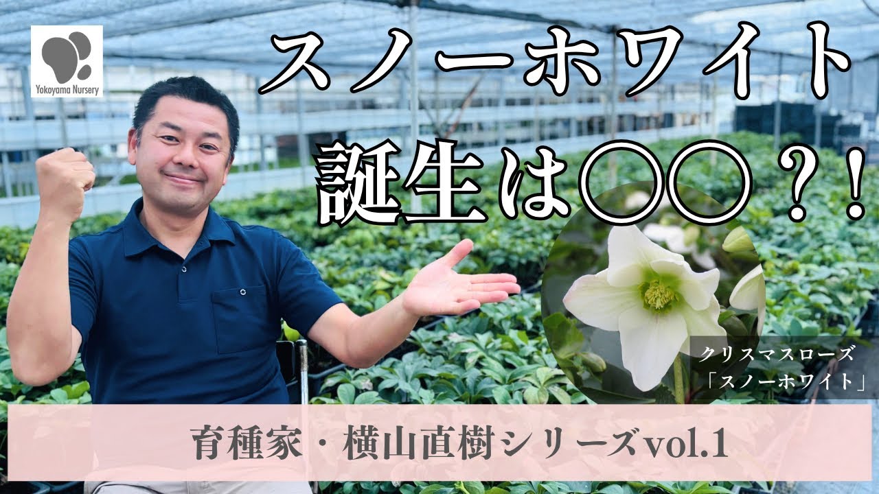 ホワイトローズの優雅な豪華スペシャル特大リース♪♪☆特別仕様