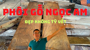 Phôi gỗ ngọc am làm áo quan, quan tài gỗ ngọc am | Nguyễn Văn Cương