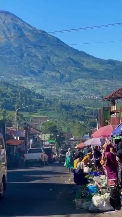 Belanja ke pasar serasa piknik Pasar Kejajar, Wonosobo, JatengVideo
