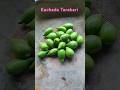 #Tolak recipe#odia kachada tarakari#forestfruit#odia#ytshorts #viral#viralshorts#shorts#share#reels