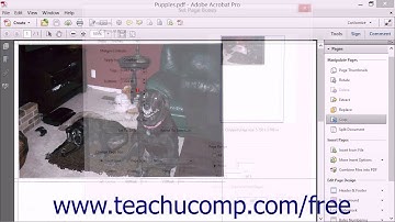 Cropping Pages and Documents - Adobe Acrobat XI Training Tutorial Course
