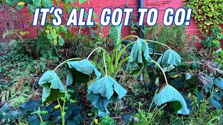 Winter Gardening is here! Our garden got hit with a hard frost! | Frost Damage | What to do? | Plant