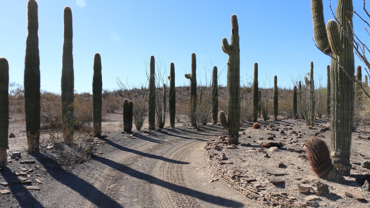 Forgotten desert dwelling | The Hovatter Homestead