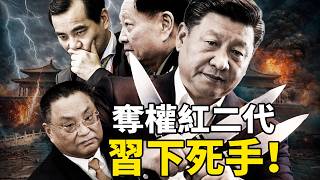 中南海地震！習近平「三把刀」捅向紅二代隱形帝國：從鄧樸方、吳小暉到張又俠，40年血統變現通道被永久關閉。｜靖遠觀天下 · 唐靖遠（2026-4-17）