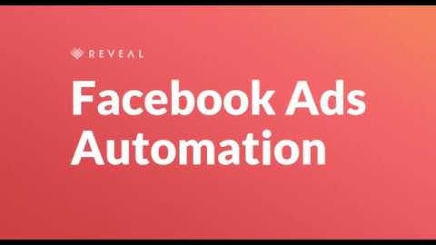 Reveal – Facebook Ads Automation