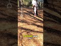 Gaming Moment Epic Hole 13 Win! #discgolf #frisbeegolf #subscribe #shorts #frolf